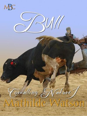 cover image of Bull
